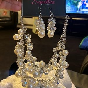 Beautiful fancy necklace from Paparazzi Signature Collection